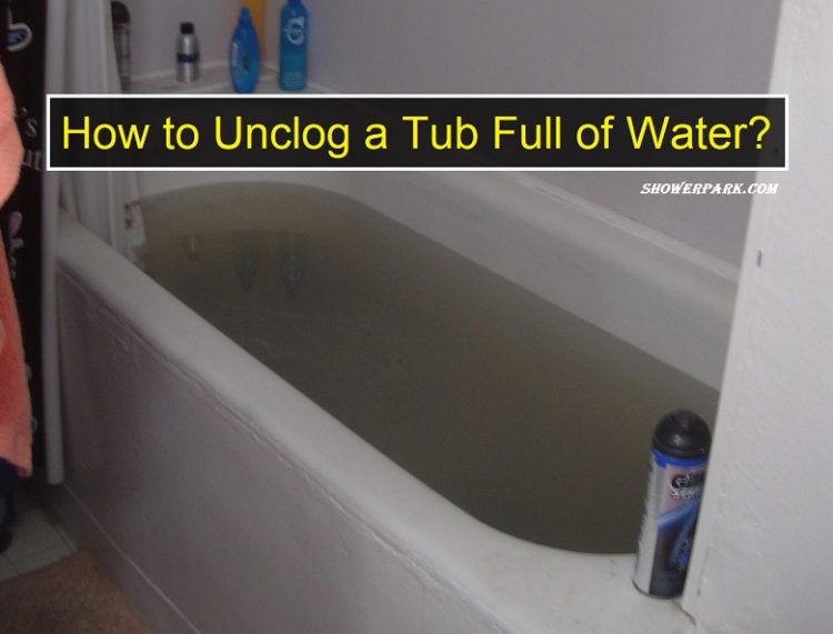 How To Unclog A Tub Full Of Water, What To Do Unclog Bathtub Drain