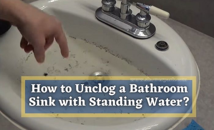 How To Unclog A Bathroom Sink With Standing Water Shower Park